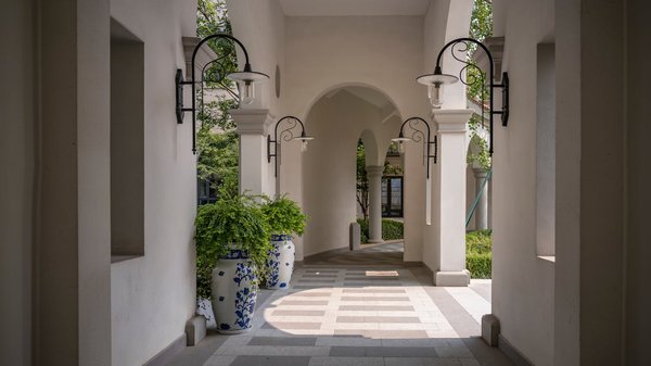 Quelles sont les meilleures plantes pour un jardin vertical extérieur?